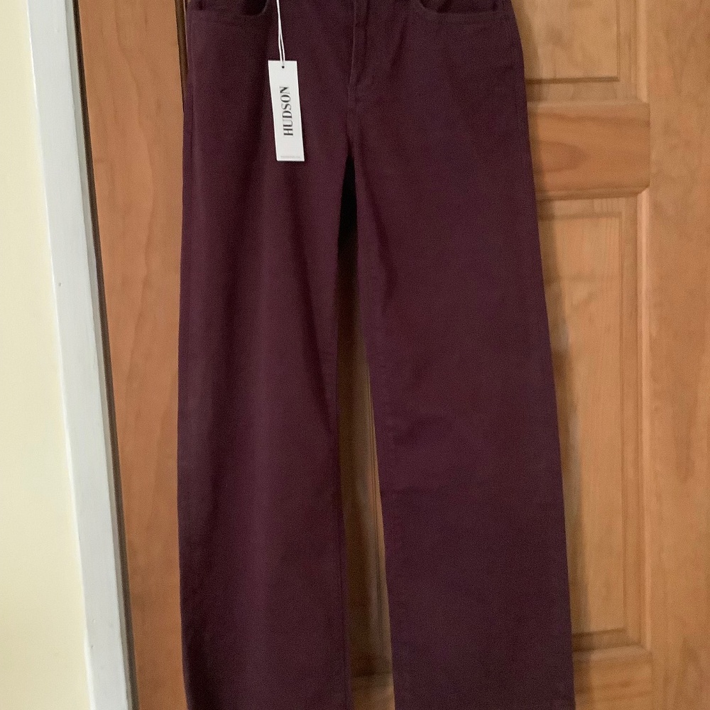 Hudson Rosalie wide leg pants